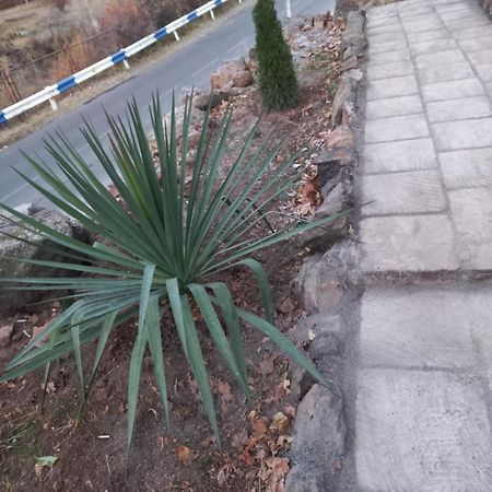 Green World Byurakan المظهر الخارجي الصورة