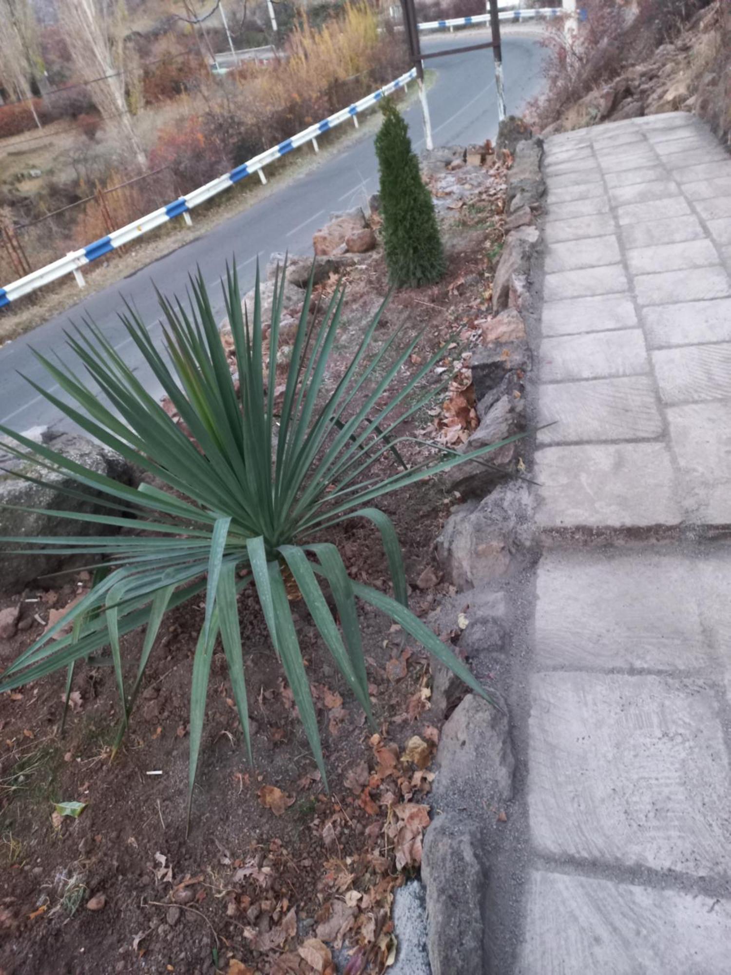 Green World Byurakan المظهر الخارجي الصورة